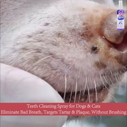 Petry Teeth Cleaning Spray for Dogs & Cats 100ml